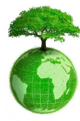 Save Trees Managed Print