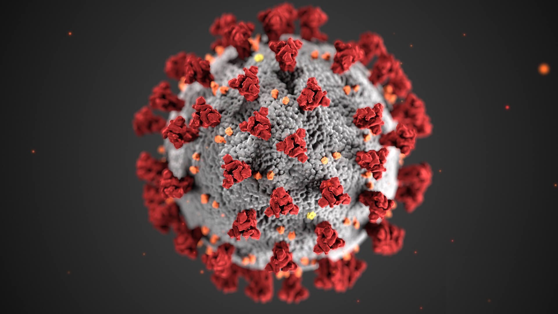coronavirus response